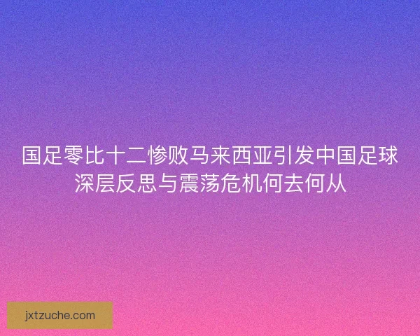 国足零比十二惨败马来西亚引发中国足球深层反思与震荡危机何去何从